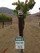 2015 Pinot Noir Reserve- Rio Vista Vineyard, SRH - View 5