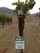 2016 Pinot Noir-Rio Vista Vineyard,  SRH - View 4